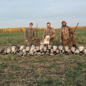 Meet your Posher, Dave